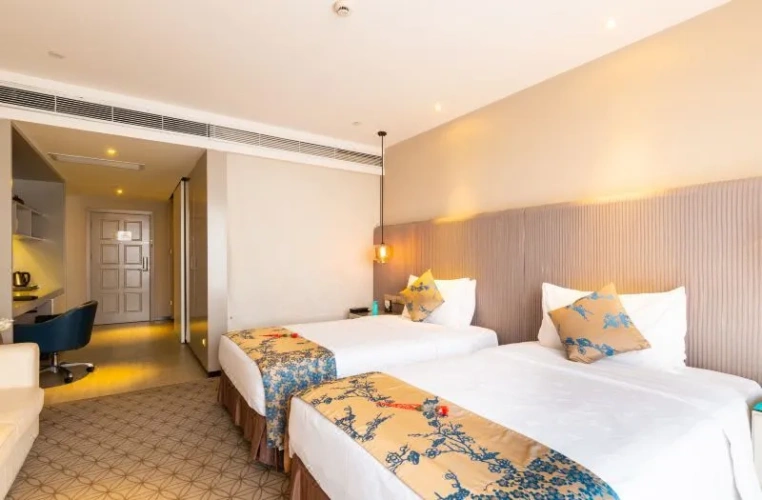 Deluxe Twin room with city view