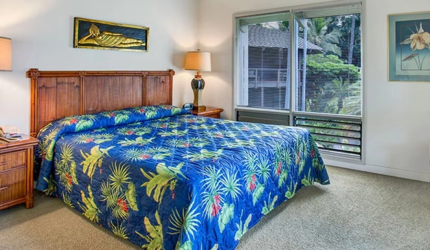 1 Bedroom Double Suite with park view