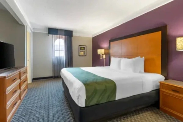 1-room Double Suite