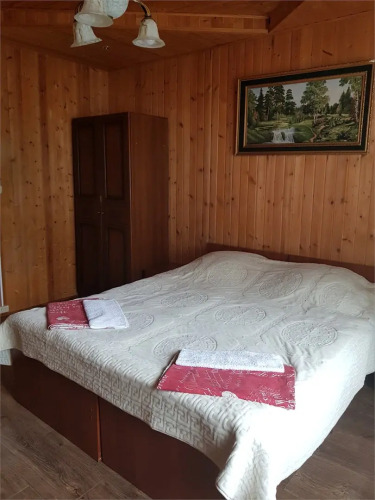 Фотография номера гостиницы Адель