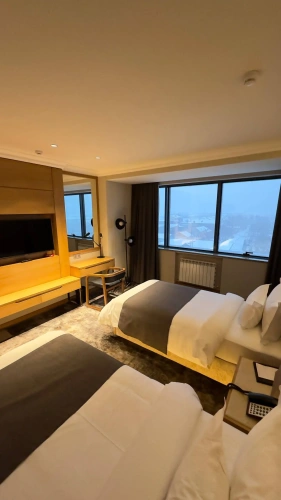 Twin Junior Suite