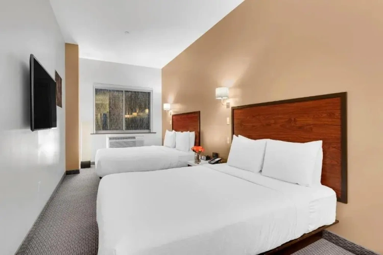 Twin Junior Suite