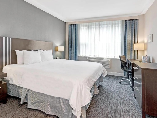 Standard Double Plus room