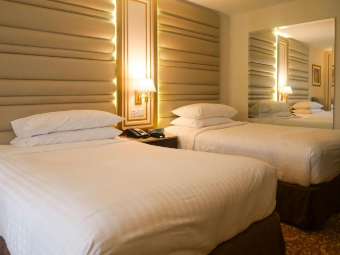 Executive Twin room