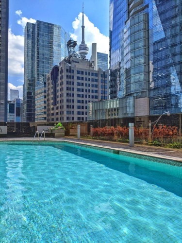 Hilton Toronto photo 44