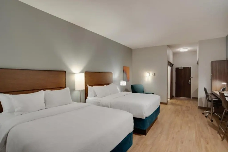 Efficiency Quadruple Suite