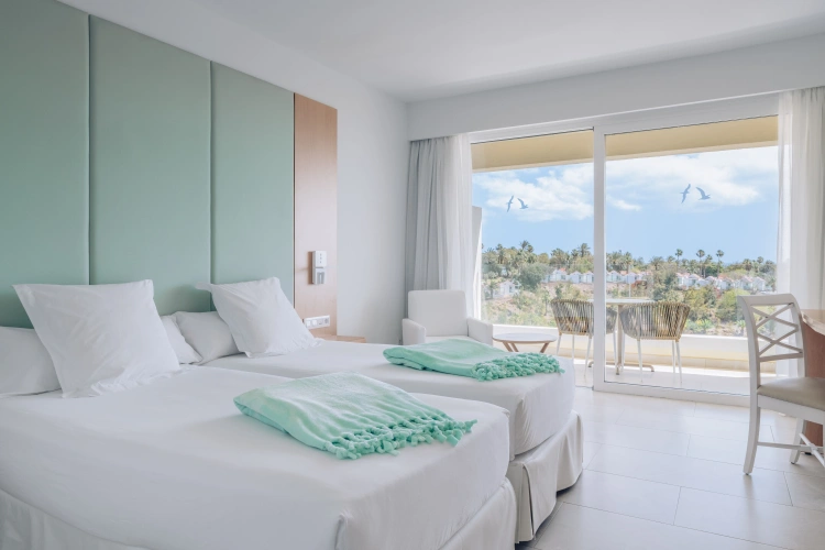 Superior Twin room with sea view
