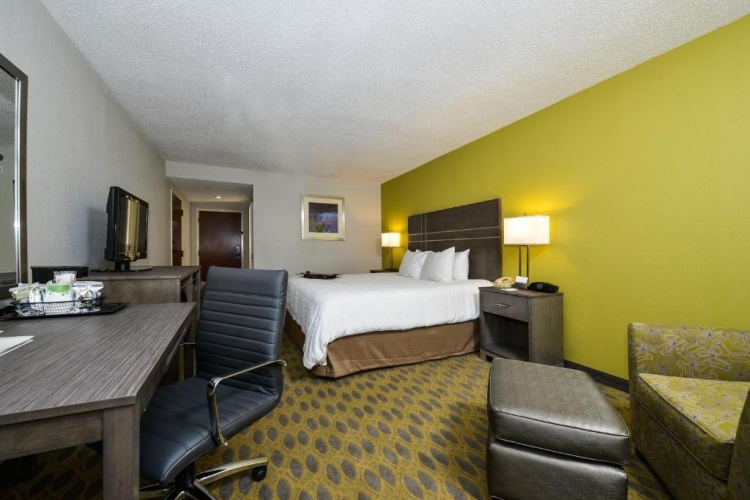 1 Bedroom Double Suite