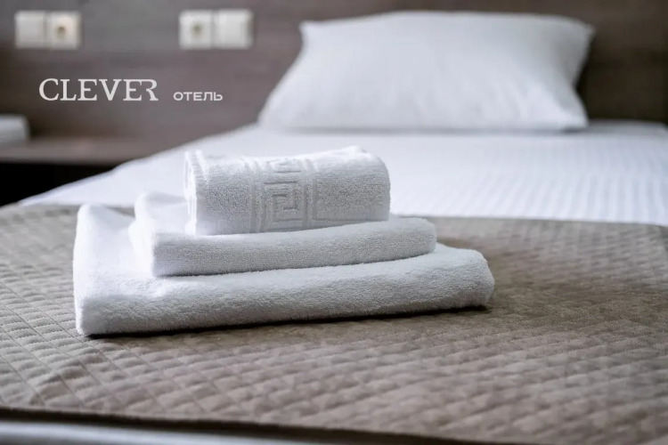 Фотография номера гостиницы Hotel CLEVER