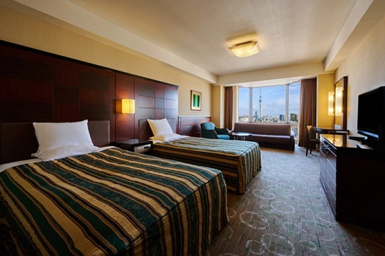 Deluxe Twin room