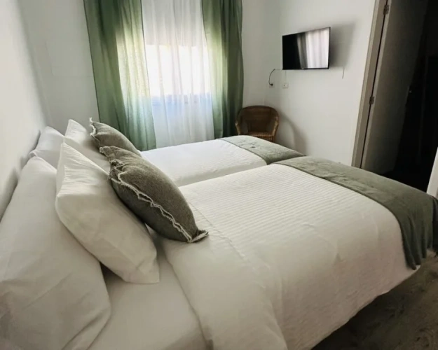Aloe Vera Twin room