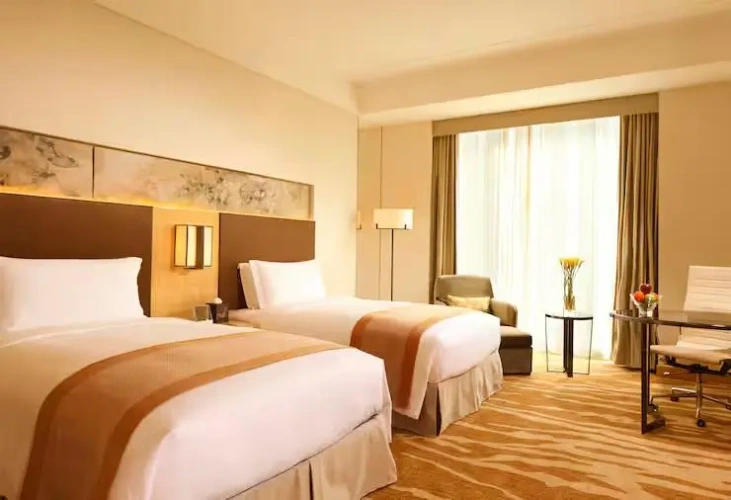 Deluxe Twin room with city view