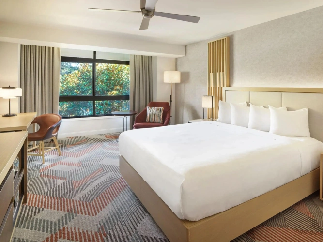 Accessible Double room