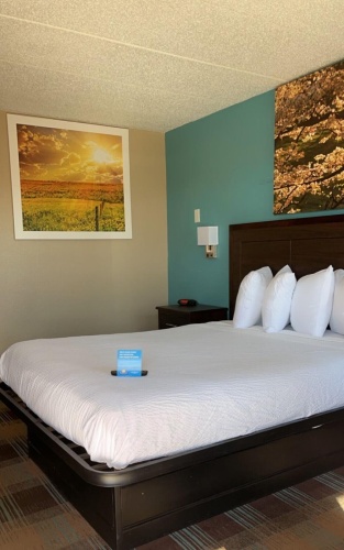 Pet Friendly Double room