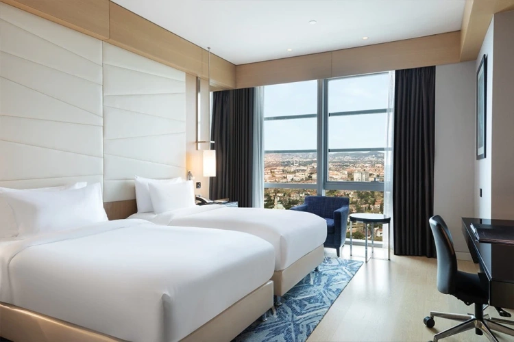 Executive Twin room with city view