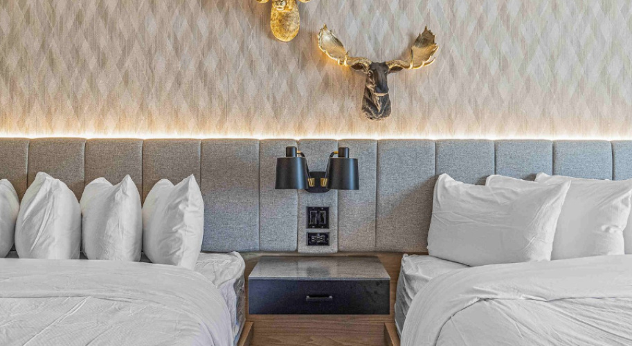 Dog Friendly Quadruple room