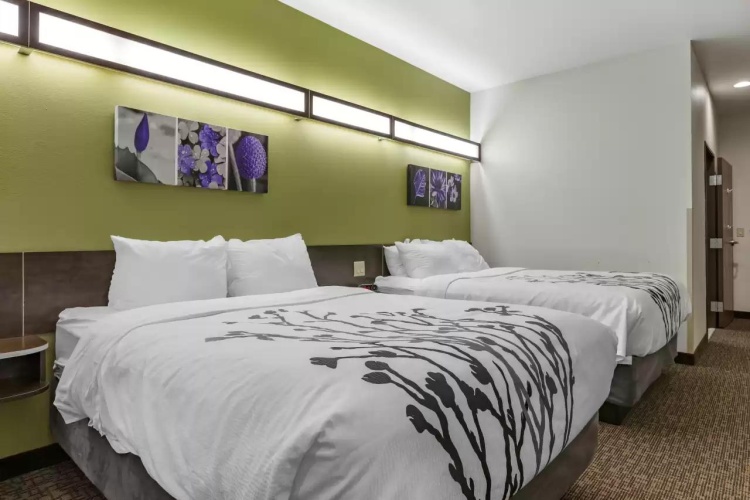 Standard Twin room
