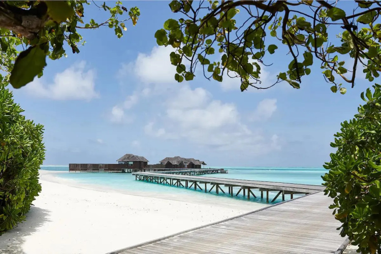 Conrad Maldives Rangali Island photo 21