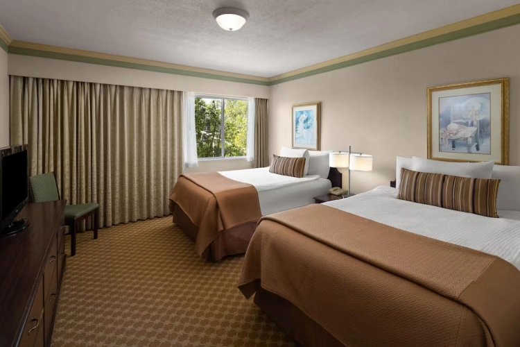 1 Bedroom Twin Suite