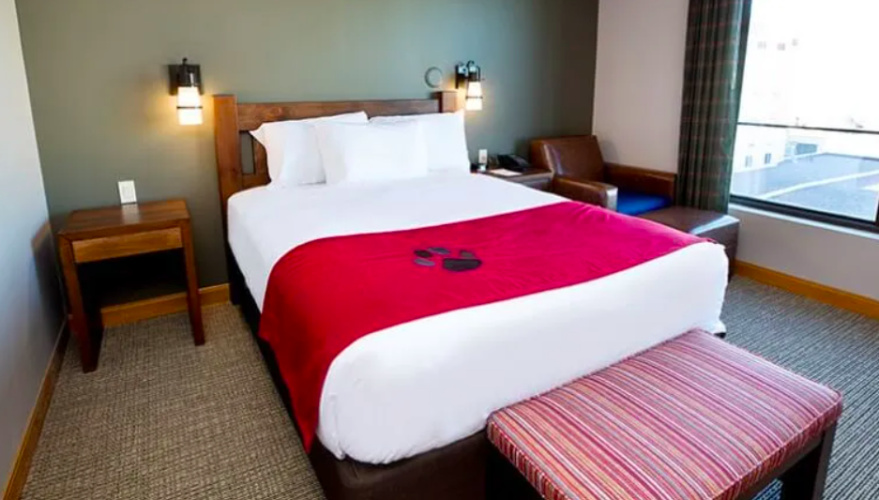 Double Suite
