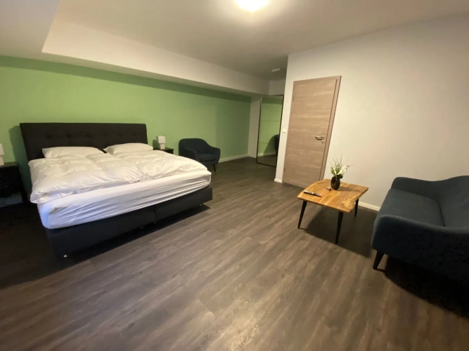 Disabled Double room