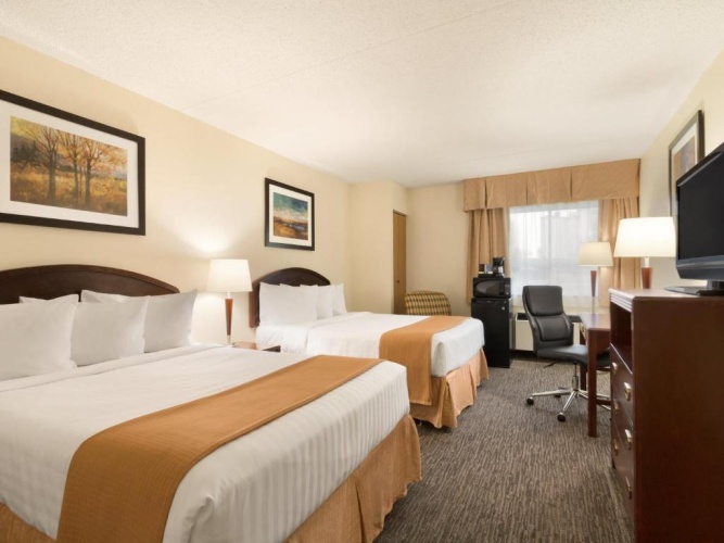 Pet Friendly Quadruple room