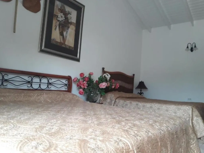 Deluxe Sextuple Junior Suite
