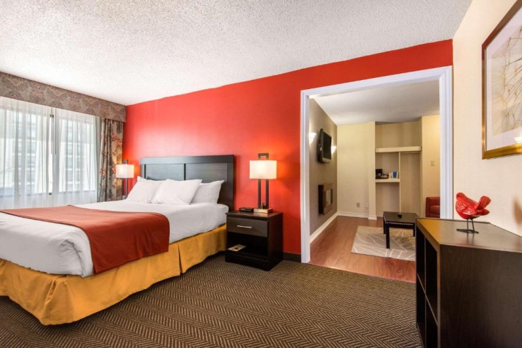 Quality Inn & Suites Mississauga photo 6