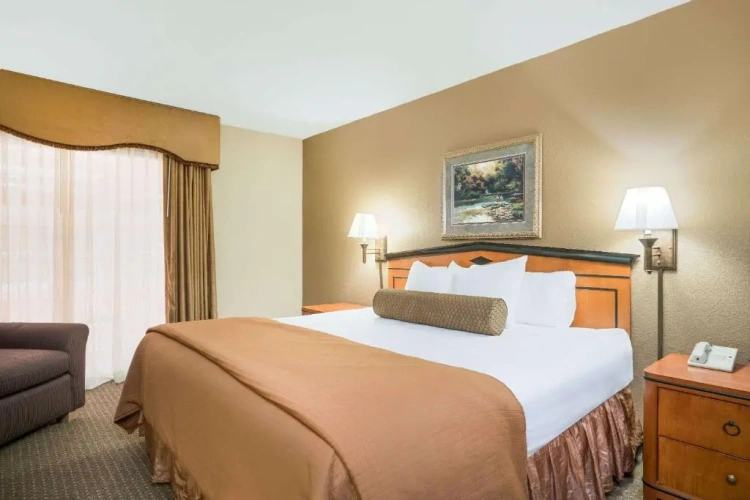 Business Suite