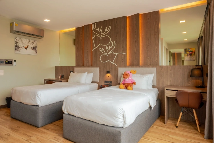 Deluxe Twin with Bathtub room