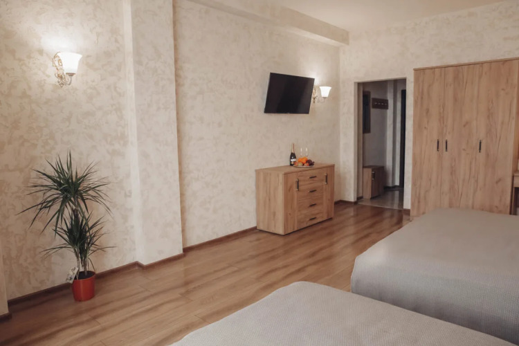 Фотография номера гостиницы Каменское