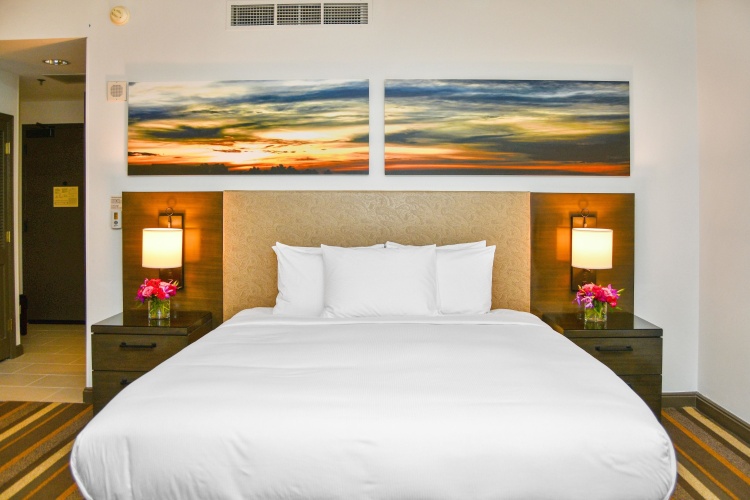 Park Cities Double Accessible Guest room