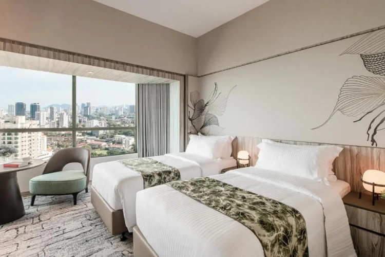 Deluxe Twin Studio with city view