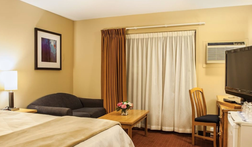 Coast Pet Friendly Double room
