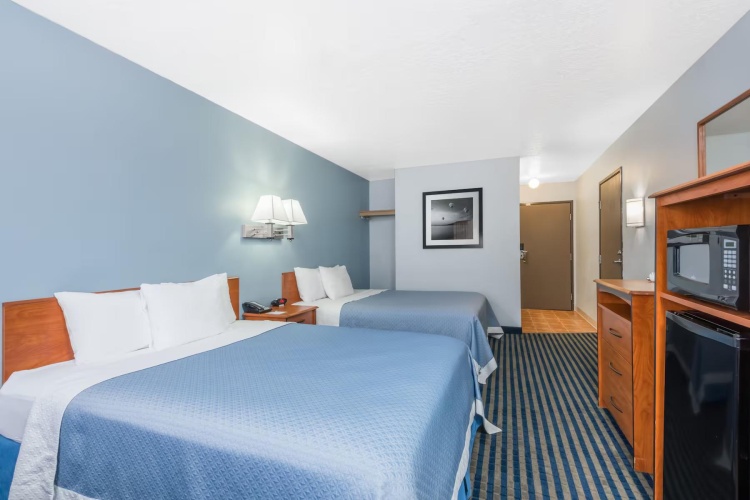 Pet Friendly Twin room