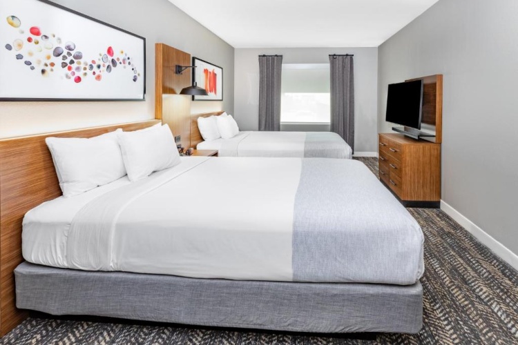 1 Bedroom Accessible Suite