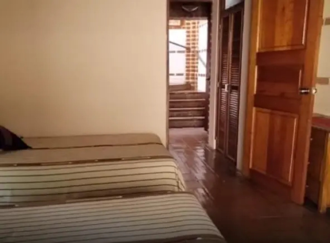 Twin room with garden view
