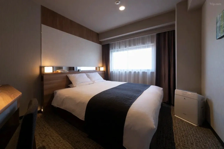 Casual Double room