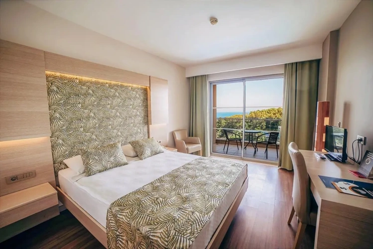 Standard Double room with land view