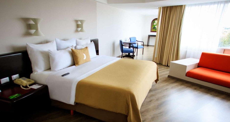 Executive Double Suite