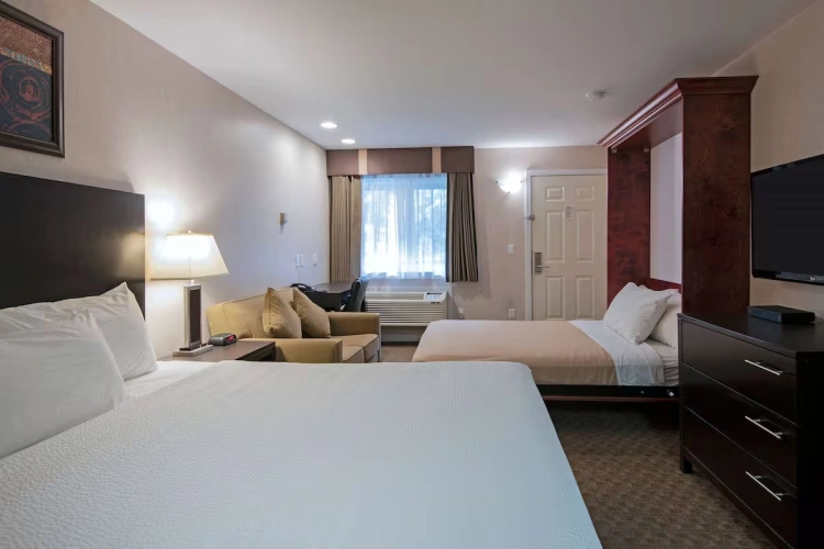 Murphy Bed Double Suite