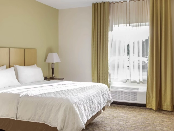 1 Bedroom Double Suite
