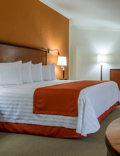 Presidential Double Suite