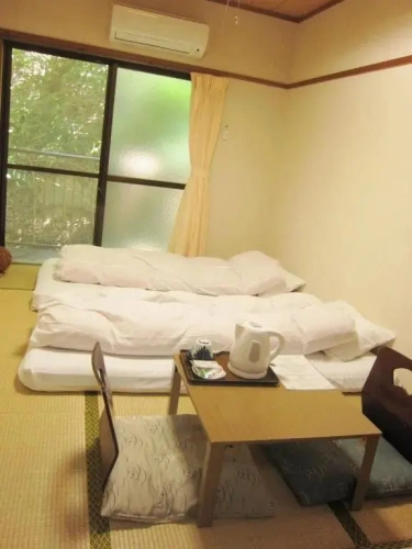 Economy Japanese Style room
