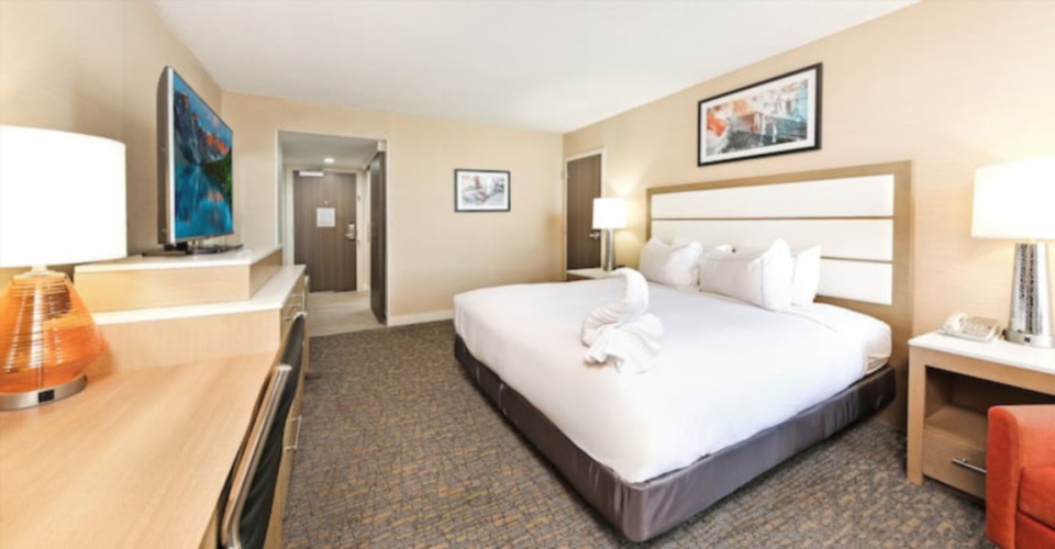 2 Room Double Suite