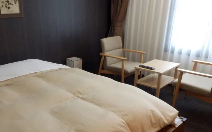 Modern Japanese Style Double room