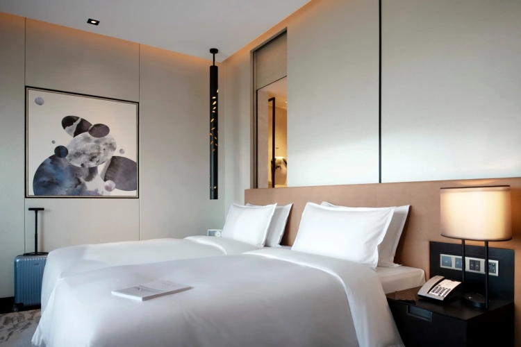 Premier Twin room with river view