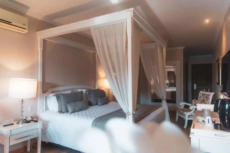 Luxury Apartment