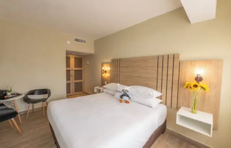 1 Bedroom Suite