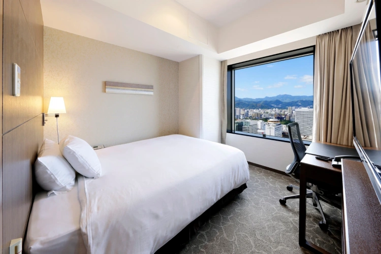Moderate Single room